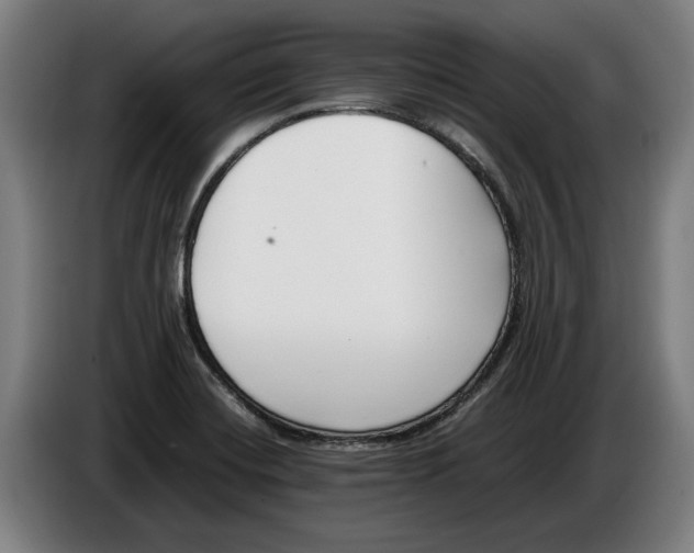 X0000086311420200704201953