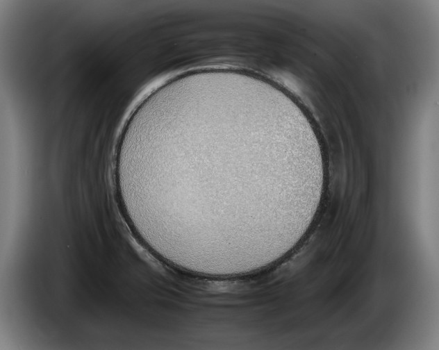 X0000086311421200704201953
