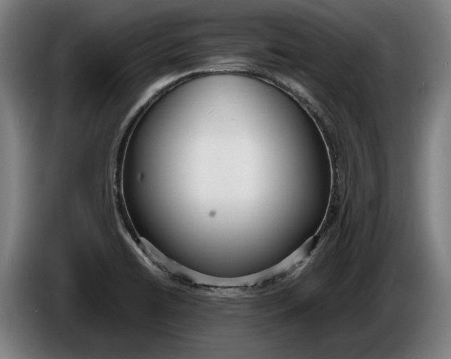 X0000086311422200704201953