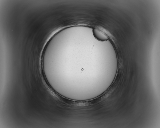 X0000086311423200704201953