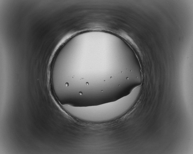 X0000086311424200704201953