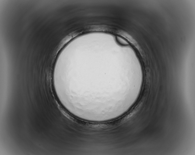 X0000086311425200704201953
