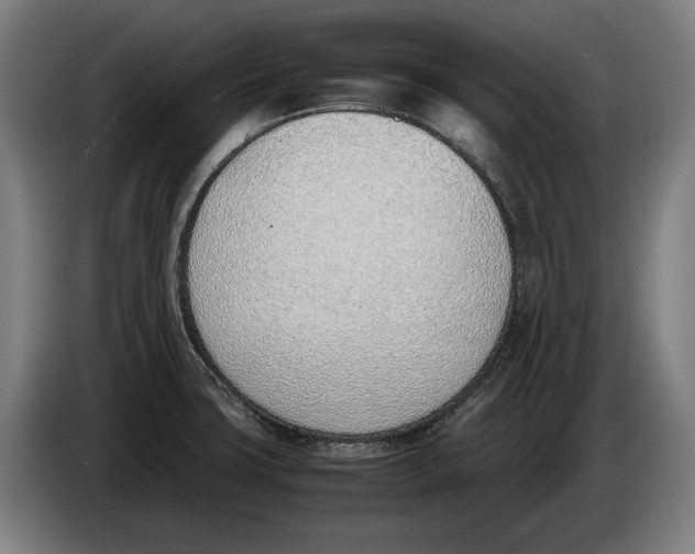 X0000086311427200704201953