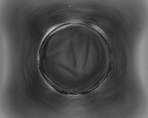 X0000086311428200704201953