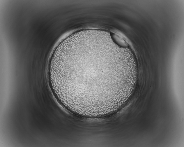 X0000086311429200704201953