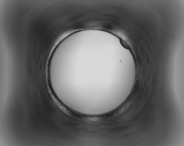 X0000086311431200704201954