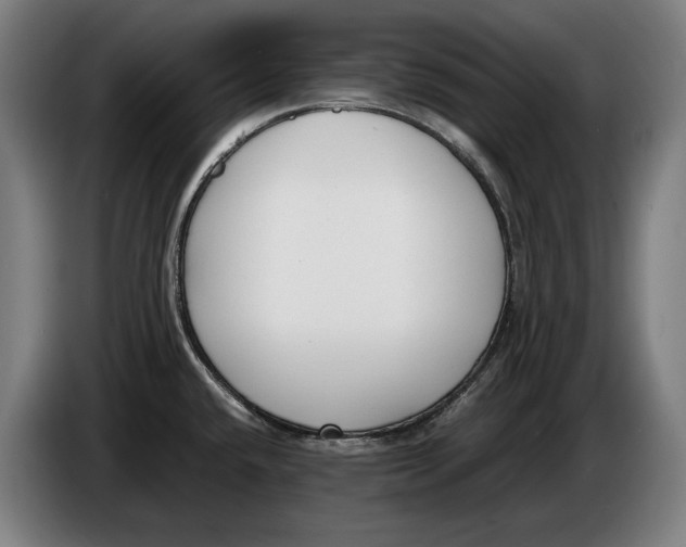 X0000086311432200704201954