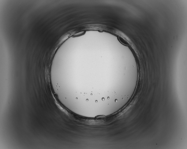 X0000086311433200704201954