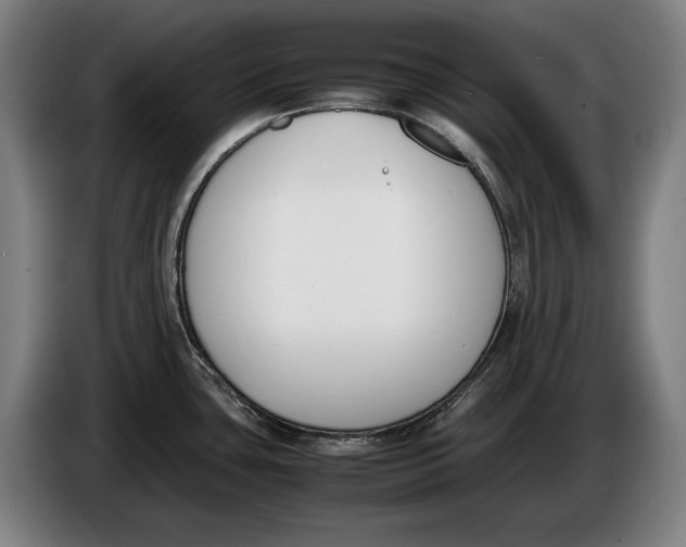 X0000086311435200704201954