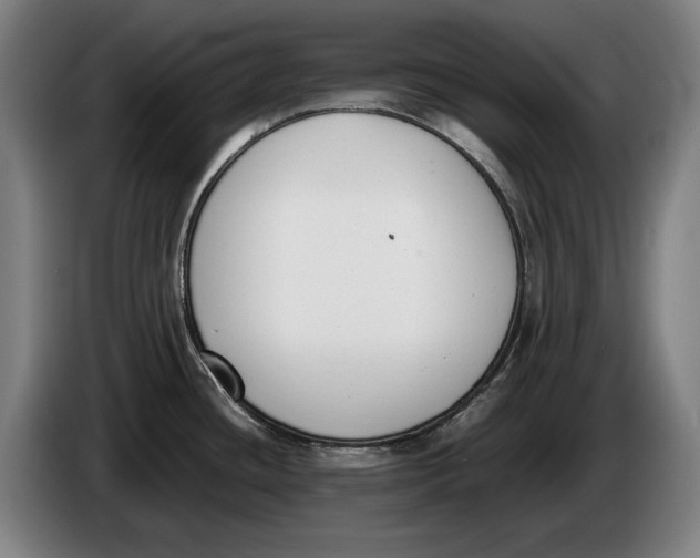 X0000086311436200704201954