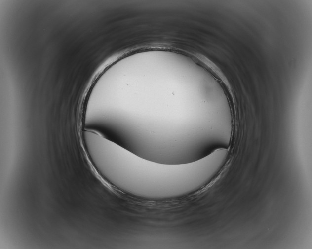 X0000086311437200704201954