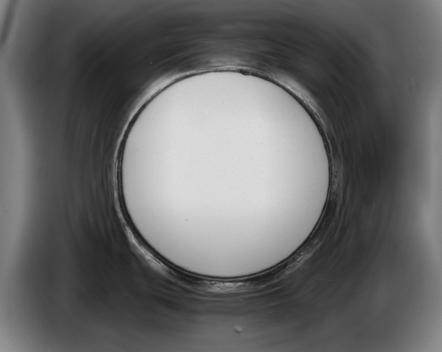 X0000086311439200704201954
