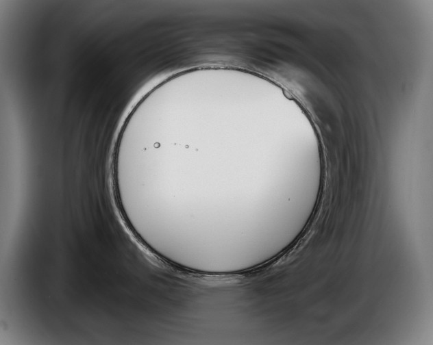 X0000086311440200704201954