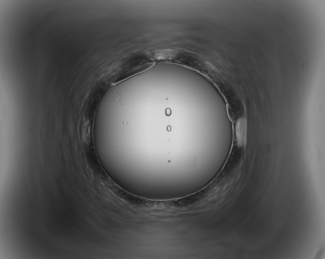 X0000086311443200704201953