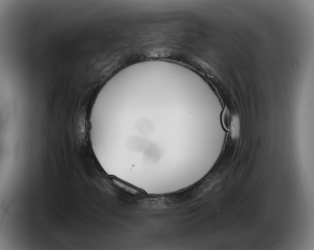 X0000086311444200704201953