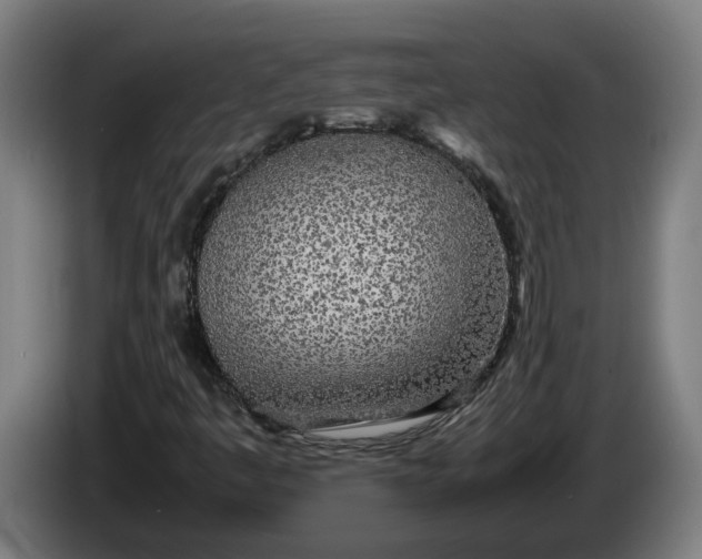 X0000086311445200704201953