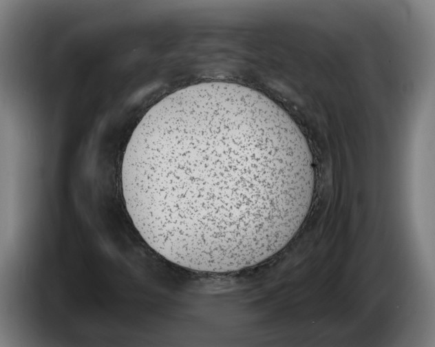 X0000086311446200704201953
