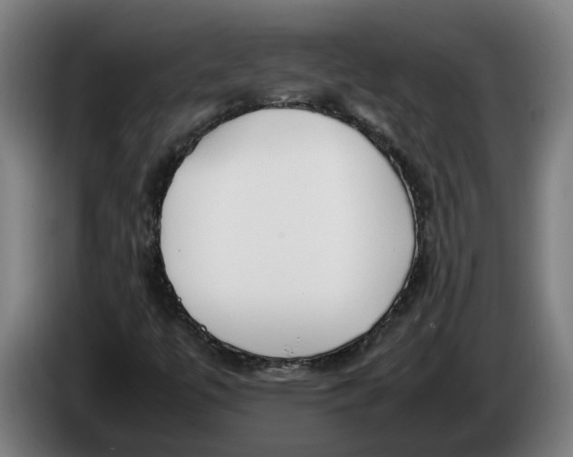 X0000086311447200704201953