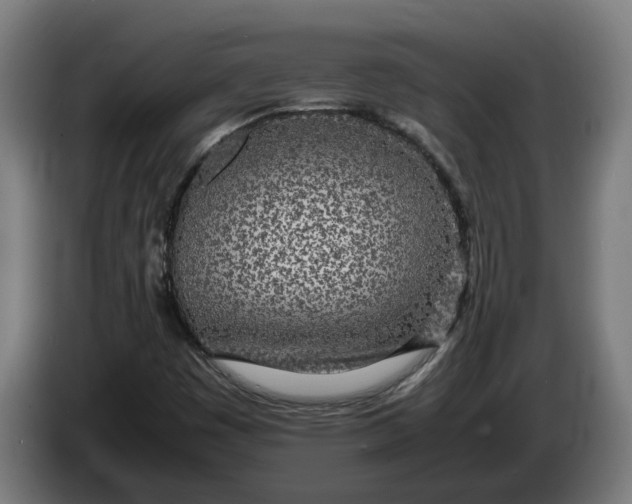 X0000086311449200704201953