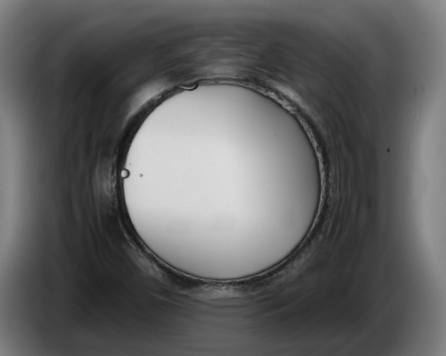 X0000086311450200704201953