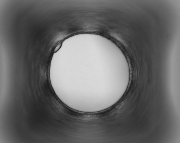 X0000086311451200704201953