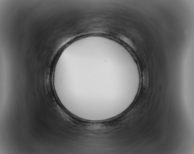 X0000086311452200704201953