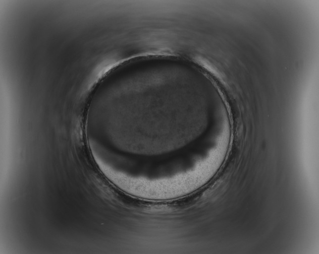 X0000086311455200704201953