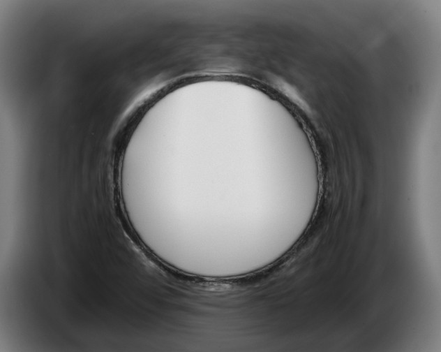X0000086311456200704201953