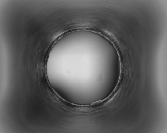 X0000086311457200704201953