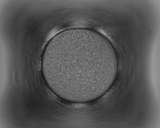 X0000086311459200704201953