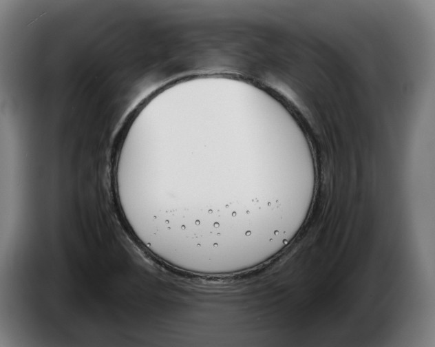 X0000086311460200704201953