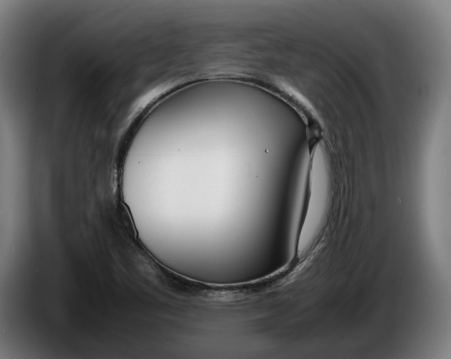 X0000086311461200704201953