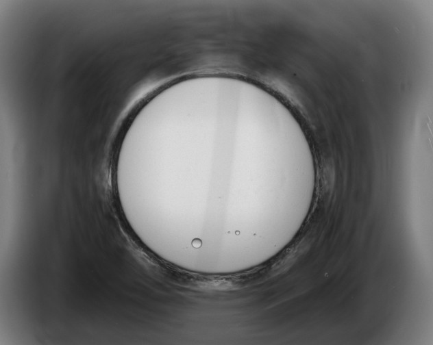 X0000086311462200704201953