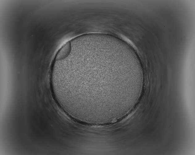 X0000086311463200704201953