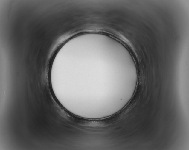 X0000086311464200704201953