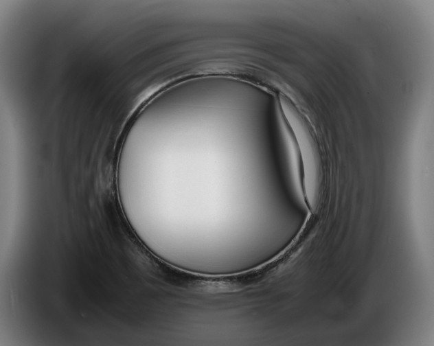 X0000086311465200704201953