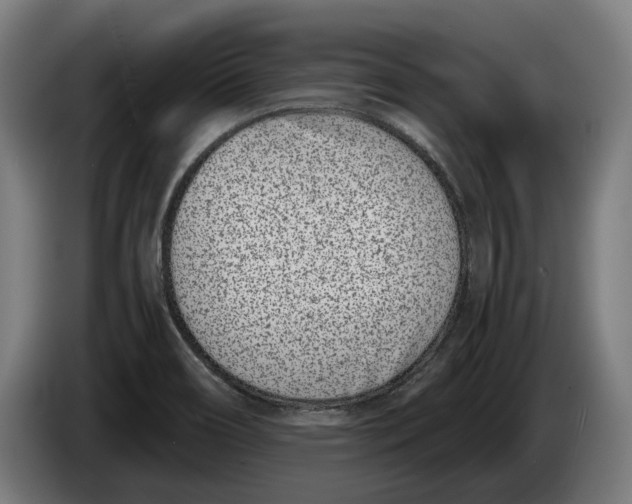 X0000086311466200704201953