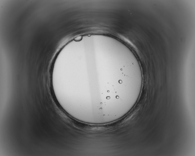 X0000086311467200704201953