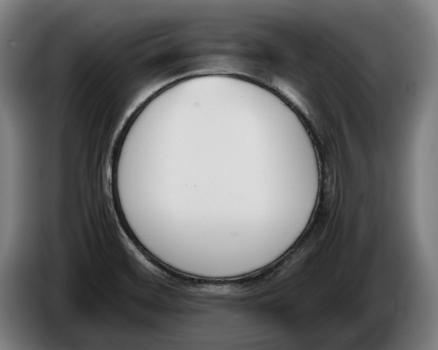 X0000086311468200704201953