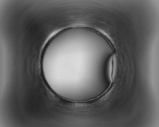 X0000086311469200704201953