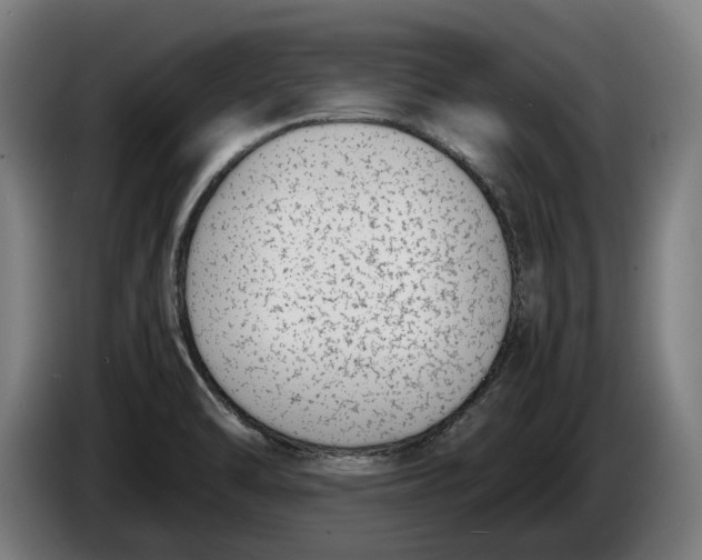X0000086311470200704201953