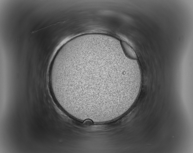 X0000086311471200704201953