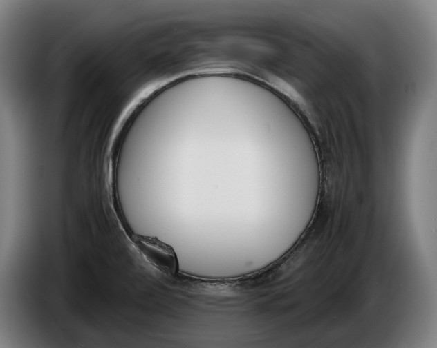 X0000086311472200704201953