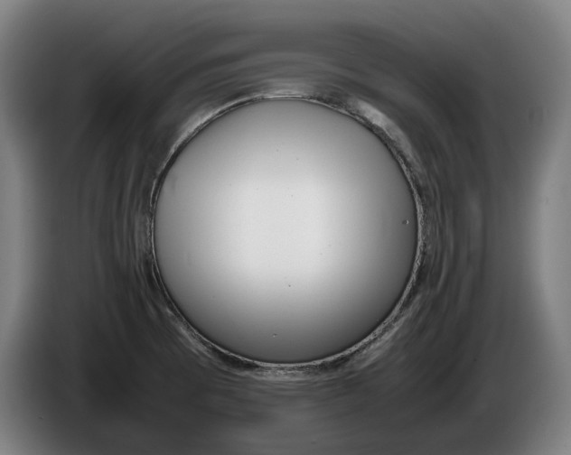 X0000086311473200704201953