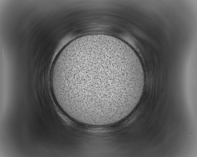 X0000086311474200704201953
