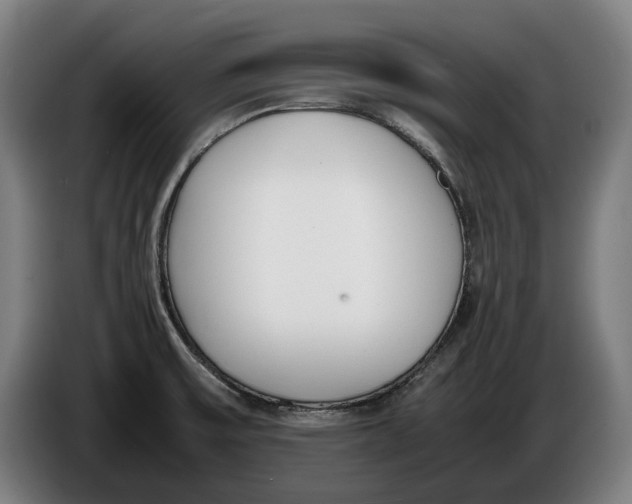 X0000086311475200704201953