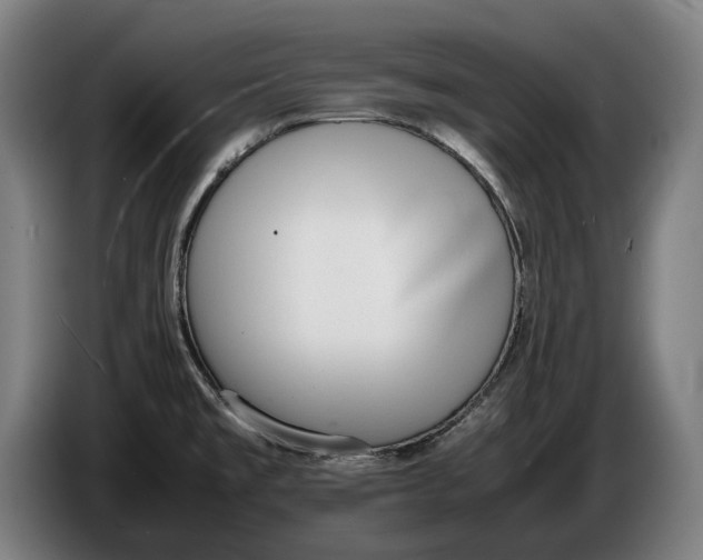 X0000086311477200704201953