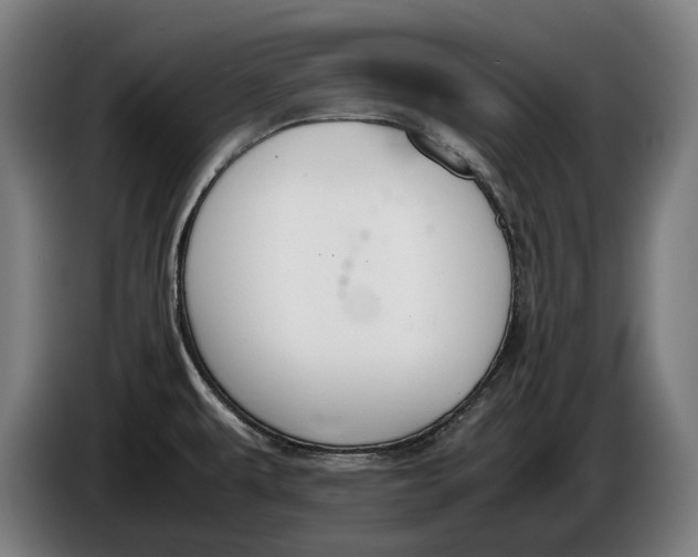 X0000086311479200704201953