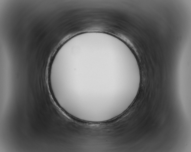 X0000086311480200704201953