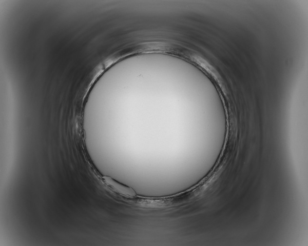 X0000086311481200704201953
